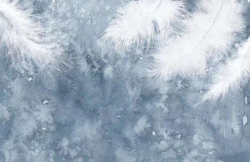 Romantic artistic unique special feather design custom size fabric high-end wall mural