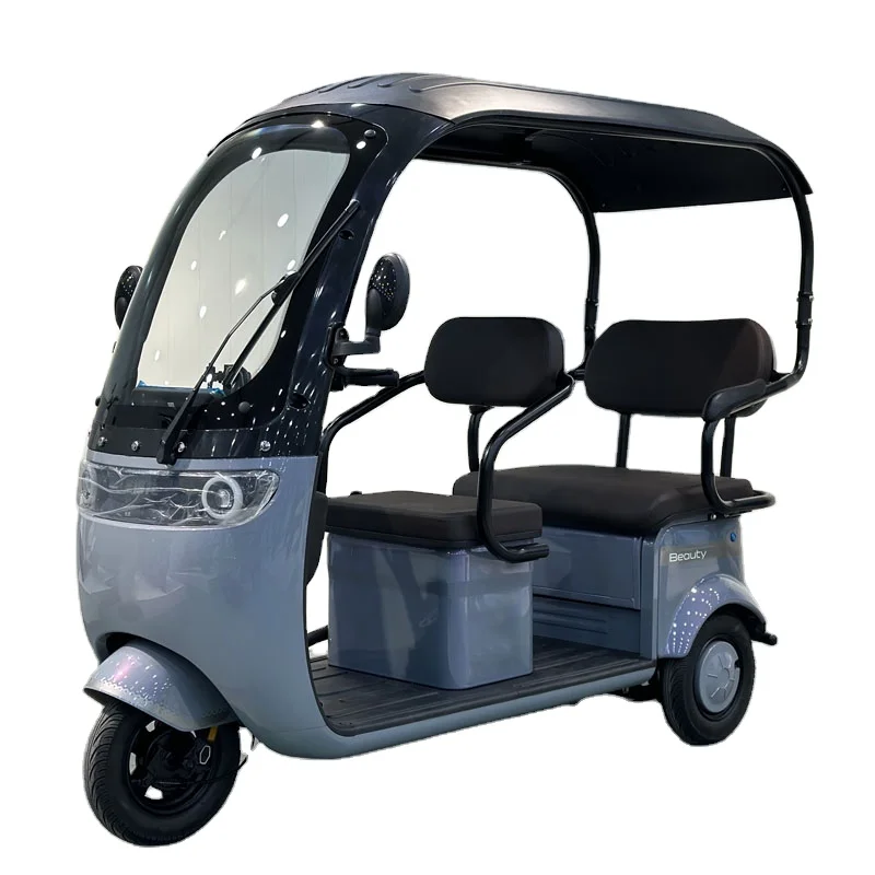 FULIKE Classic Design 3 Wheel Electric Mobility Scooter Trike Wholesale Tricycle With Roof