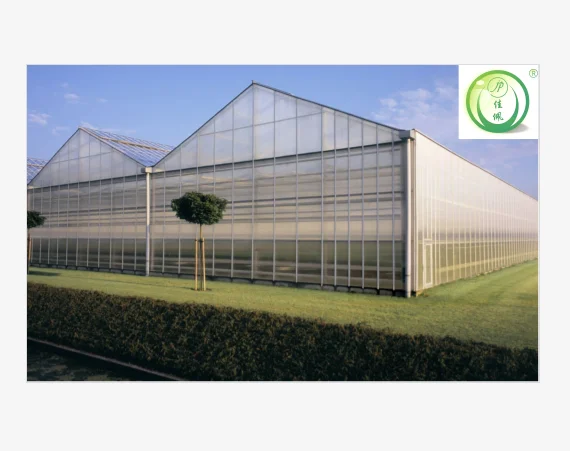 Modern Venlo Polycarbonate Glass Farming Greenhouse Multi-Span Commercial pc Sheet Greenhouses Supplier