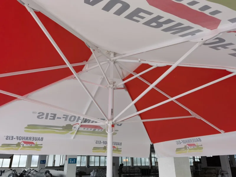 IMG_0416(20211210-111738)