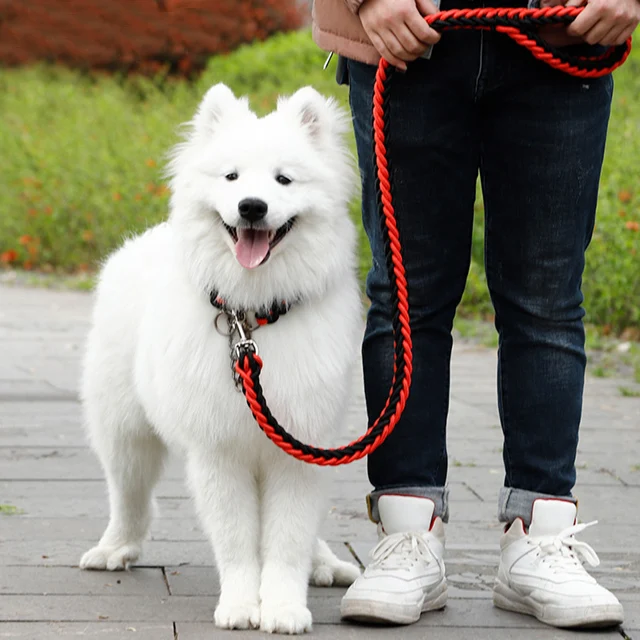  Новый стиль цветной нейлоновый плетеный поводок для собак поводки ошейники средних и больших