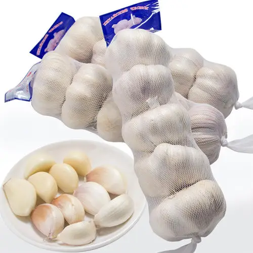 
Fresh White Garlic wholesale 