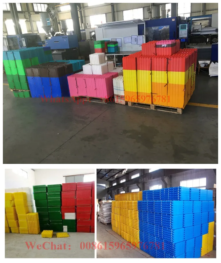 high quality 30 cell egg tray factory directly sale quail egg tray plastic egg tray 30holes