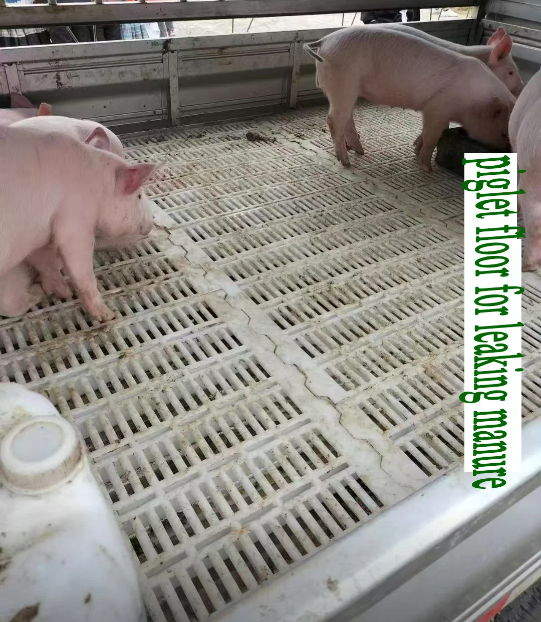 60*60 cm Pigs Slat Flooring Plastic Pig Slatted Floors for Farming Equipment