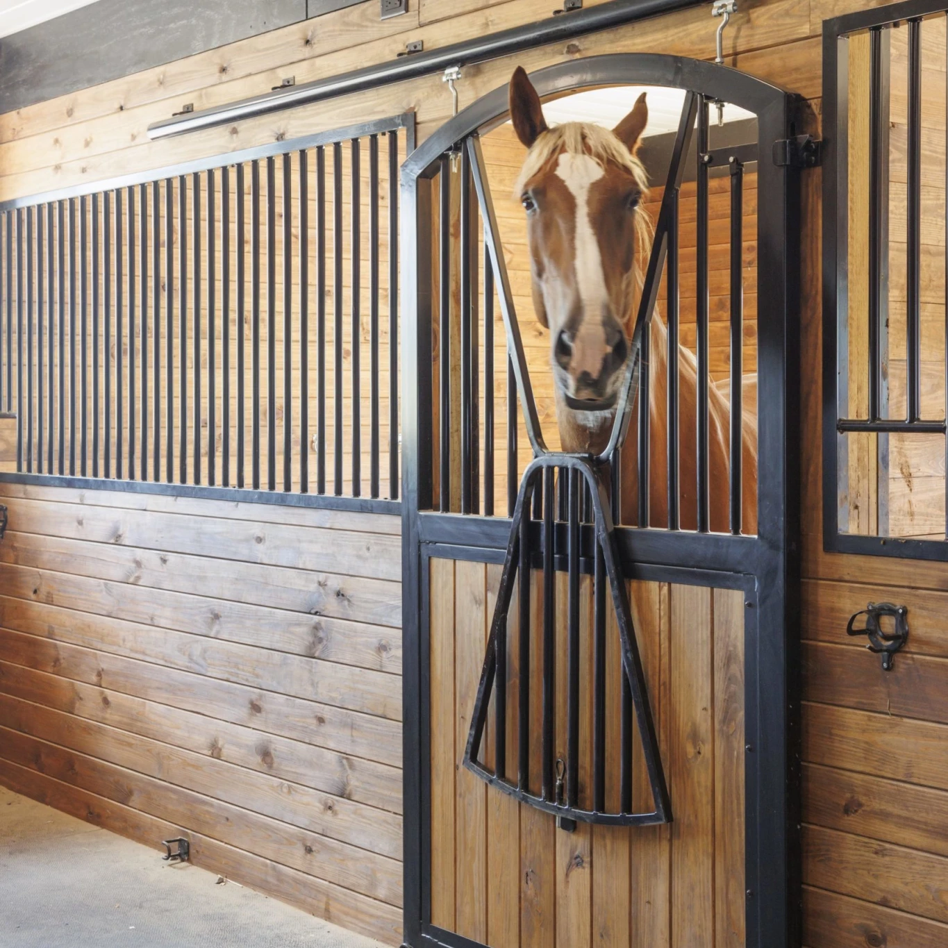 equine horse stable,horse stable interior,stable horses cows 4