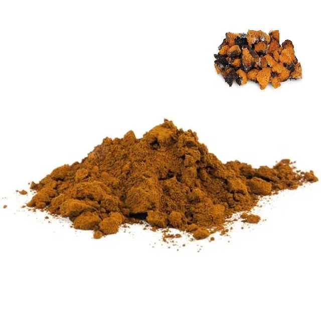 
 Фирменная пищевая добавка для иммунной поддержки натурального порошка экстракта грибов Чаги, органическое питание супергероев  