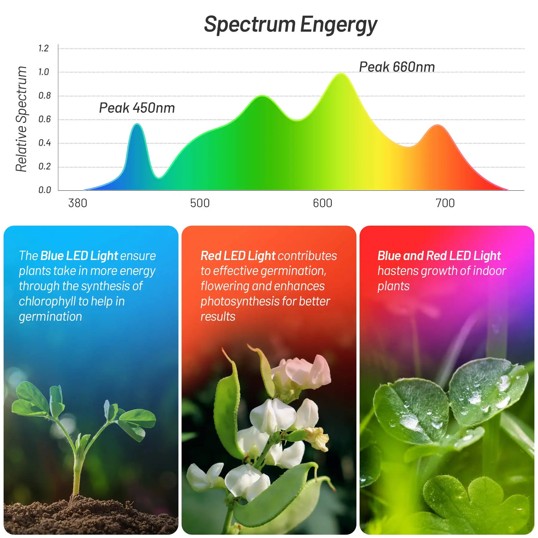 Amazon Hot Sale Four Head Plant Growing Lights Adjustable Gooseneck Led Clip Growth Lamp Usb Dimming Timing Desktop Plant Lamp