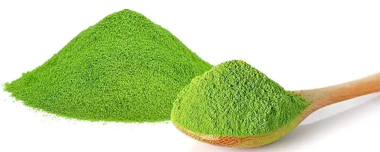 Free sample matcha tea low calories USDA matcha green tea powder antioxidant nutrition facts and health benefits Organic Matcha