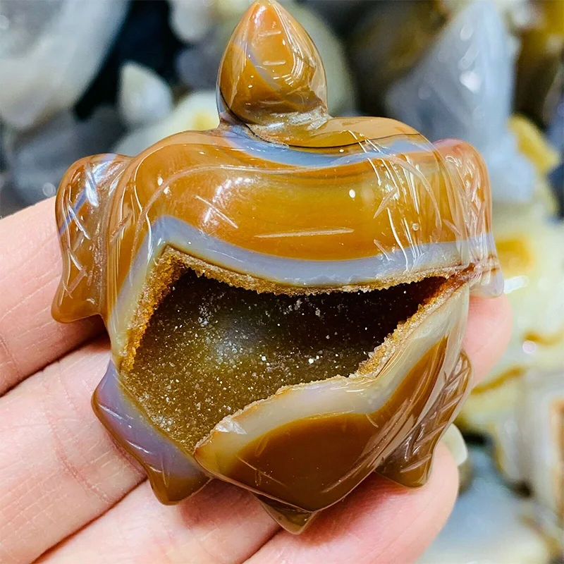 2024 Wholesale Natural Crystal Animals Agate Geode Tortoise Agate Turtle for Decoration