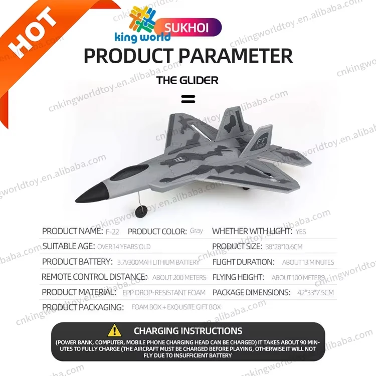 KW F22 BM08 2 Channels RTF Epp Foam Flying Jet Airplane Remote Control RC Air Plane For Sale