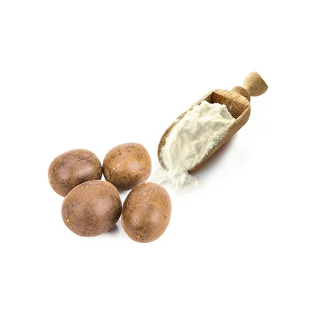 Natural Monk Fruit Extract  Mogroside V Luo Han Guo Extract  88901-36-4 in Bulk