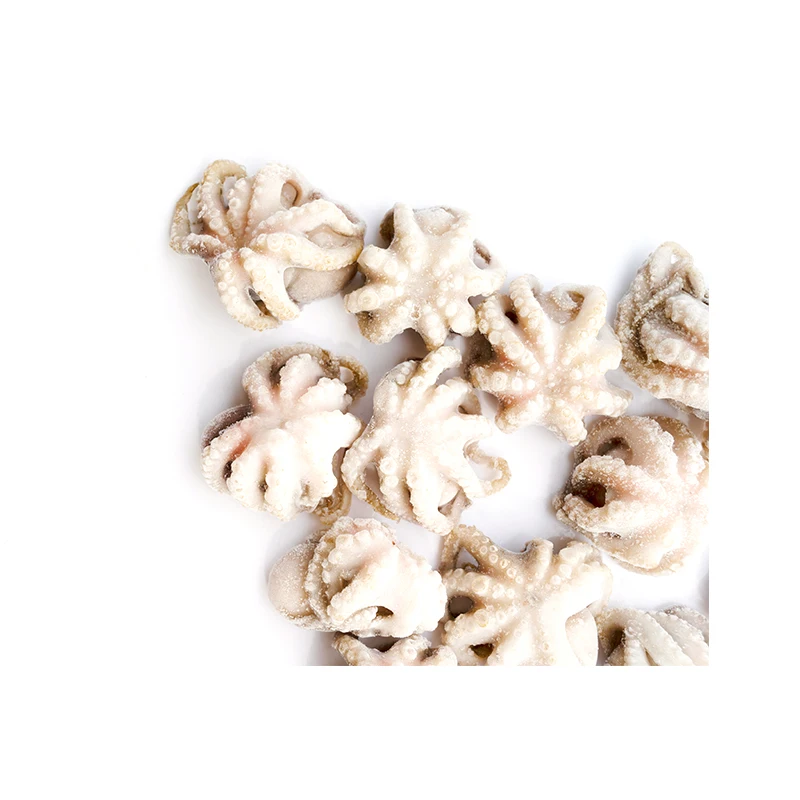 Factory wholesale little octopus nutritious vitamins frozen octopus