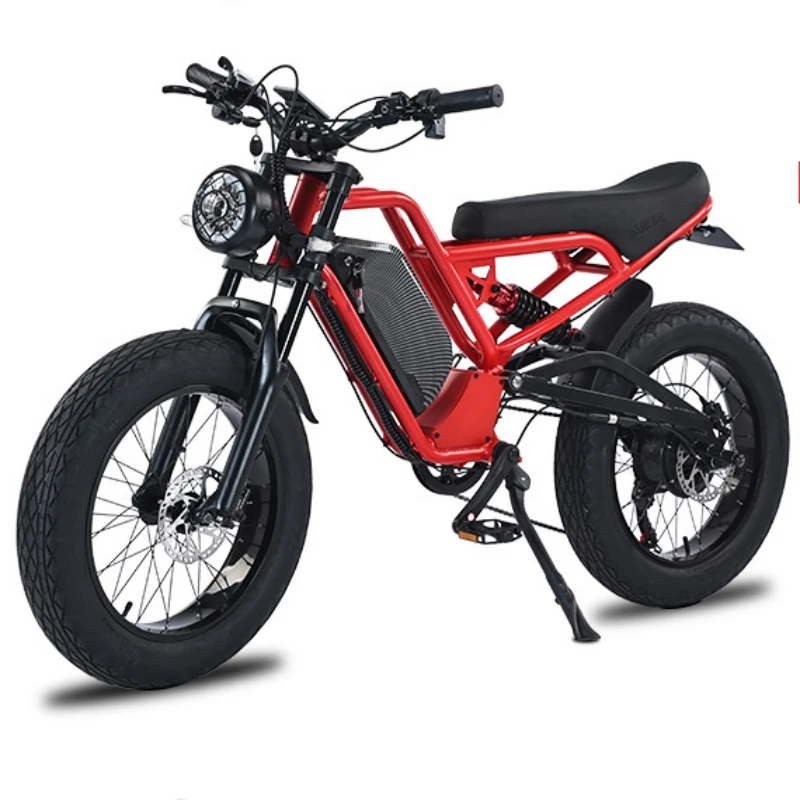 High Power Fat Tire E-bike Frame Electric Dirt Bike Adult Off-road Motorcycles Double Battery Design 750W Electric Bicycle