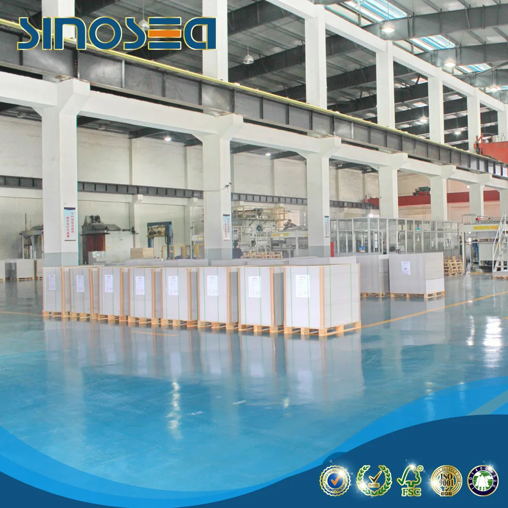 Fbb Coated  Folding Box Board 10 Ton Bristol Board Paper