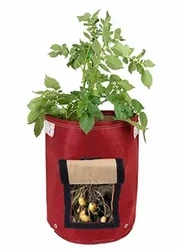 Wholesale Non-woven Nursery Garden Potato Tomato plant bag /garden planting bags/geotextile planting grow bags