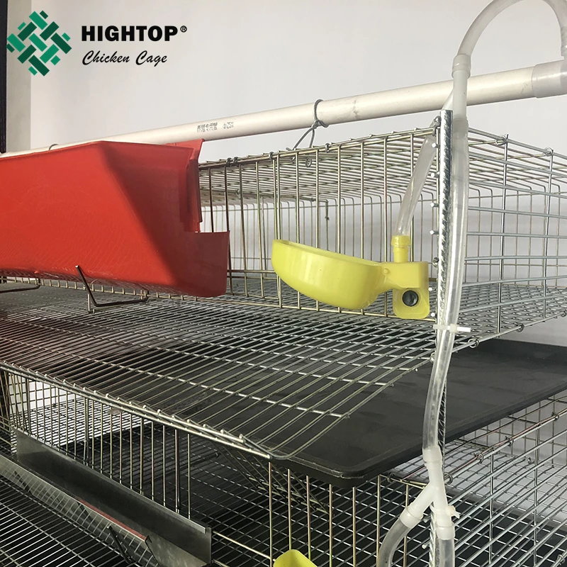 Коммерческий 6 ярус 12 ячеек низкоуглеродистая сталь Q235 перепелиные клетки для яйценоскость