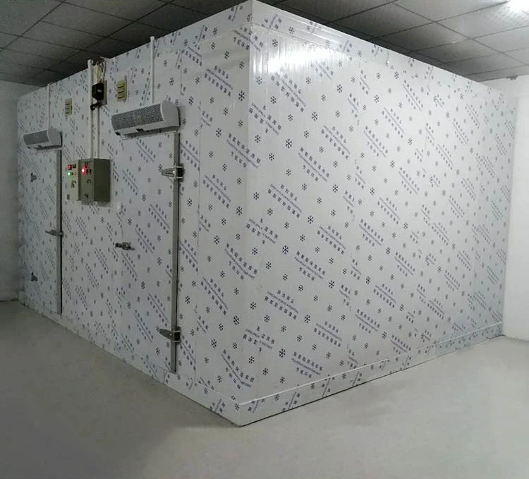 Medical laboratory cold storage container cold room price malaysia