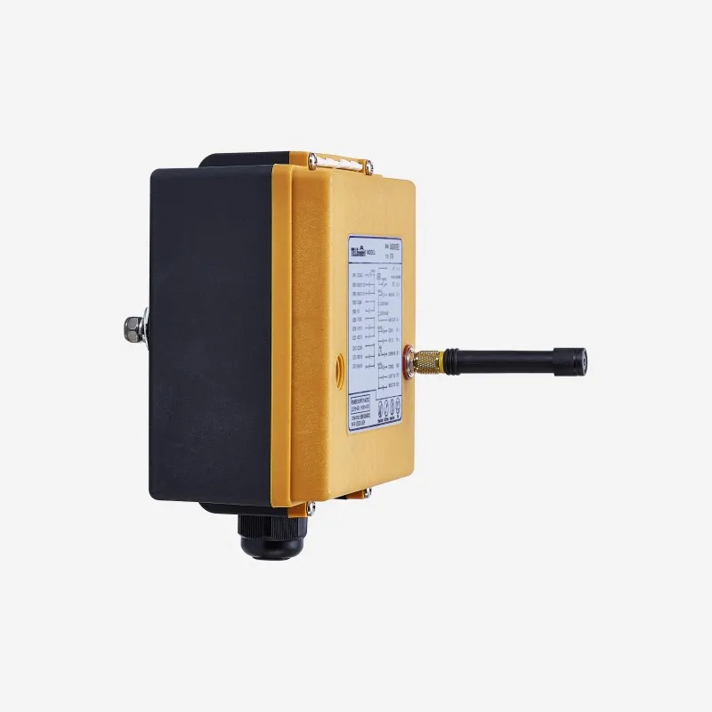 The best China industrial radio remote control F23-BB manufacturer for industrial lifting equipment overhead crane