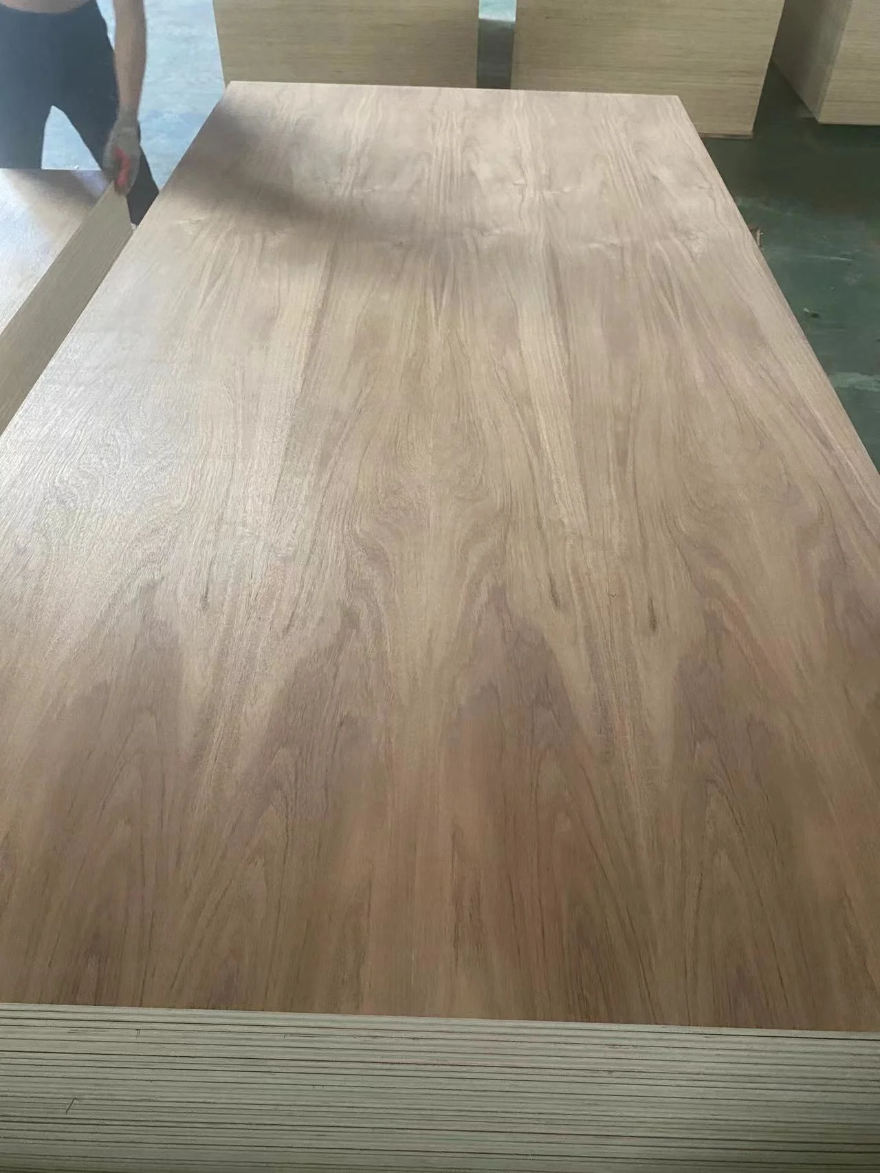1220*2440* 12mm 15mm 18mm melamine waterproof Melamine Faced Laminated Plywood for Furniture and Cabinets