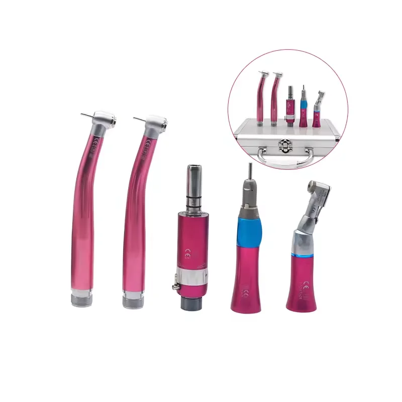 Good Price Colorful LED High and Low Speed Electric Dental Handpiece Set Dental Kit