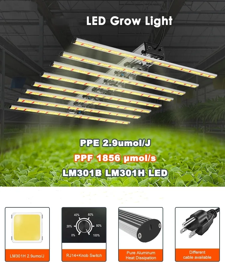 Professional lighting garden growth for indoor plants led lights veg samsung 1000w led grow light