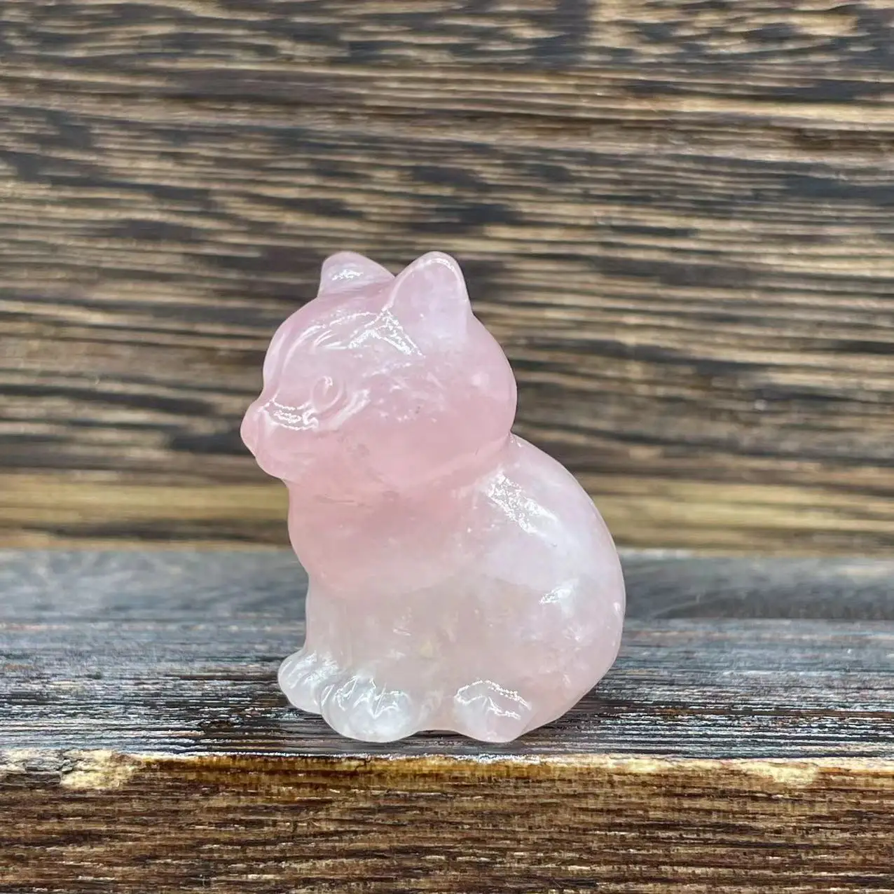 crystal cat (15)