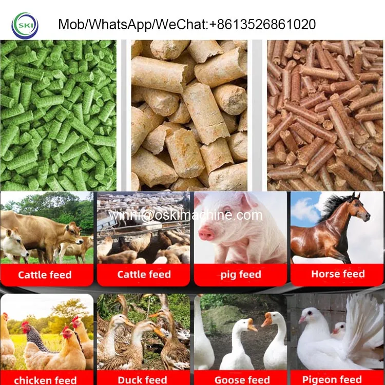 Small Animal Feed Pellet Electric Flat Die Feed Pellet Machine Price