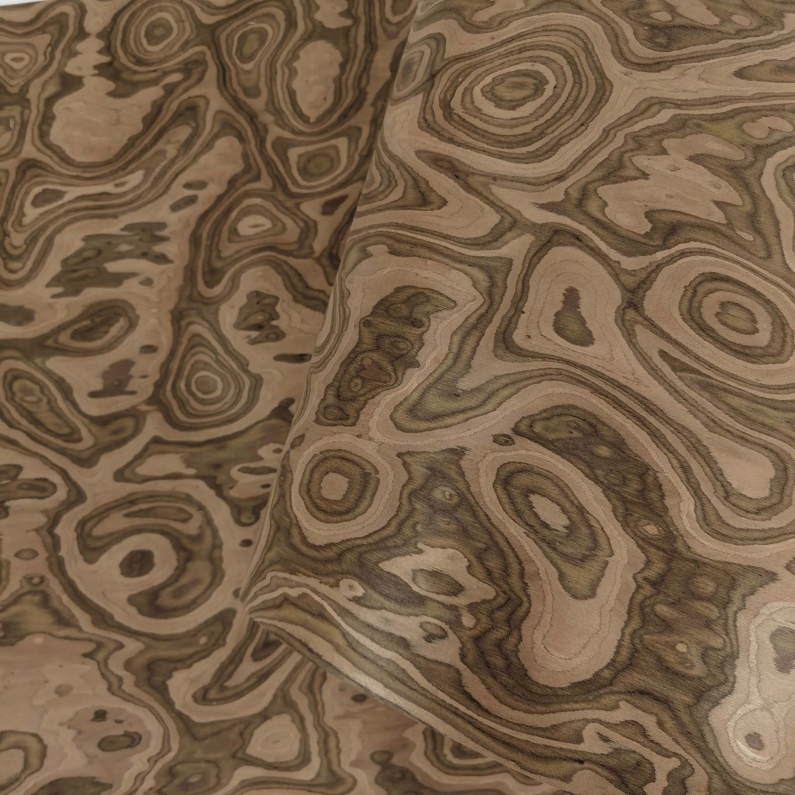 Topographic Pattern Black Walnut Burl Reconstituted Wood Veneer for Contemporary Architectural Features