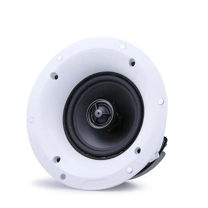 In Ceiling Speaker 10watt Full Set 50 Watts 10 Inches Monitor Powered 40W Sound System Big 8inch Speaker