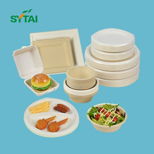 Disposable sugarcane bagasse plates for wedding birthday party package food fruit dish trays