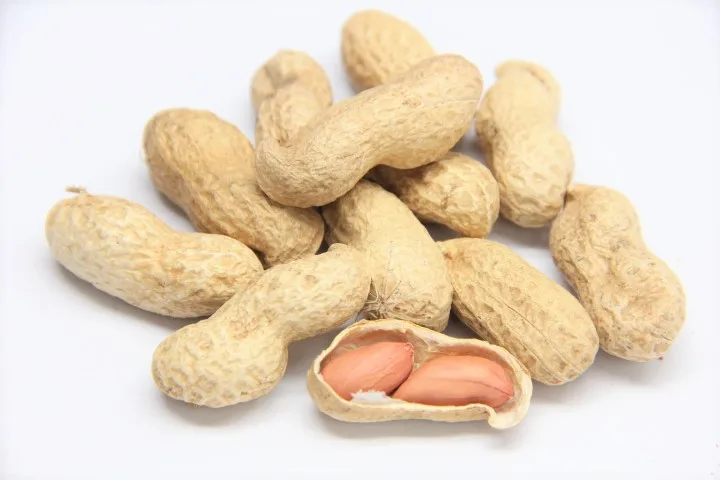 Ground Nut red skin Peanut,Raw Shelled Peanut,Fresh Peanuts