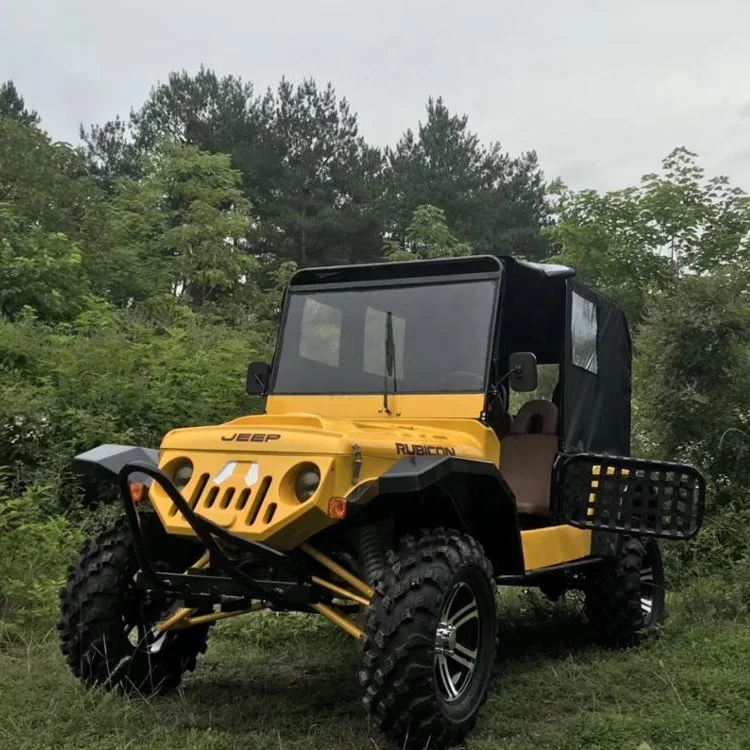 
New Design 4 People Off Road Dune Buggy/Mini Jeep/Electric Car For Fun 