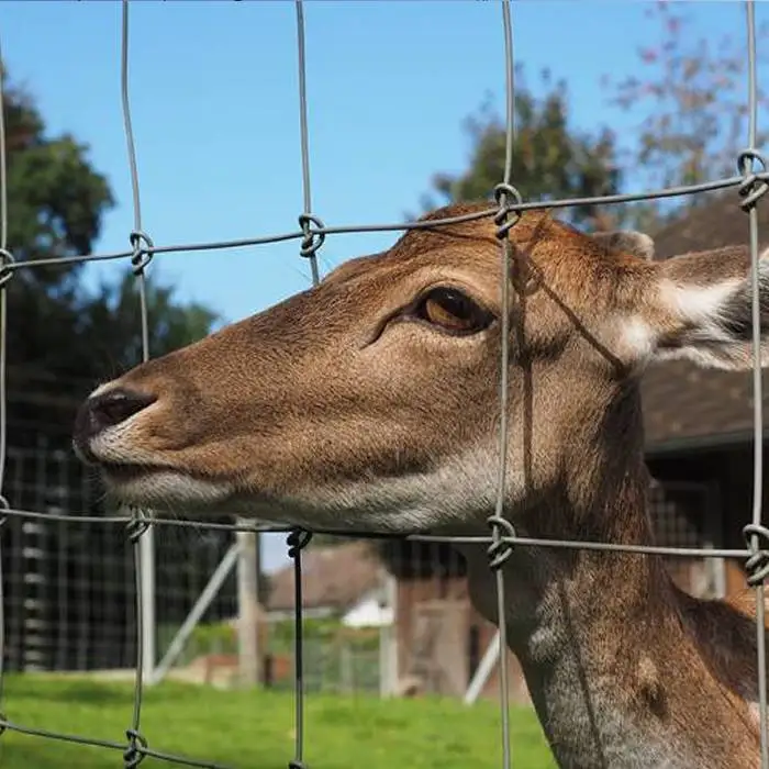 Australia market cattle panels mesh high Tensile sheep and Goat Fence cattle farm fencing