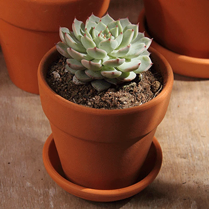 different sizes cheap indoor outdoor clay terracotta flower pot