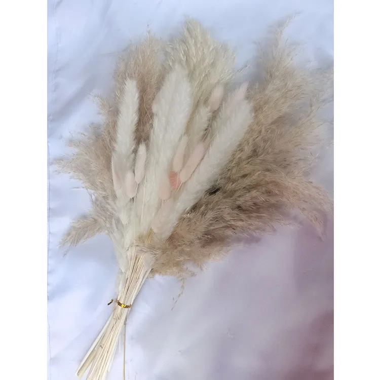 Hot selling new arrival wedding home fluffy pampas grass natural dried flowers wholesalers