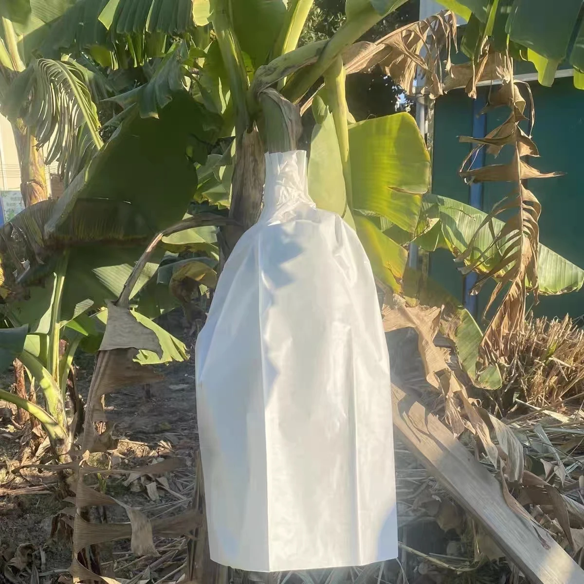 Colorful Fruit Protection Bags To Protect Fruit On Trees