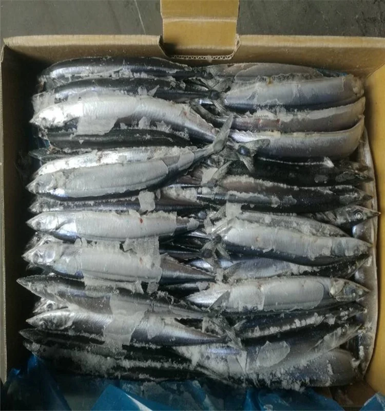 
Fresh Wholesale Frozen (Cololabis Saira) Pacific Saury Fish 