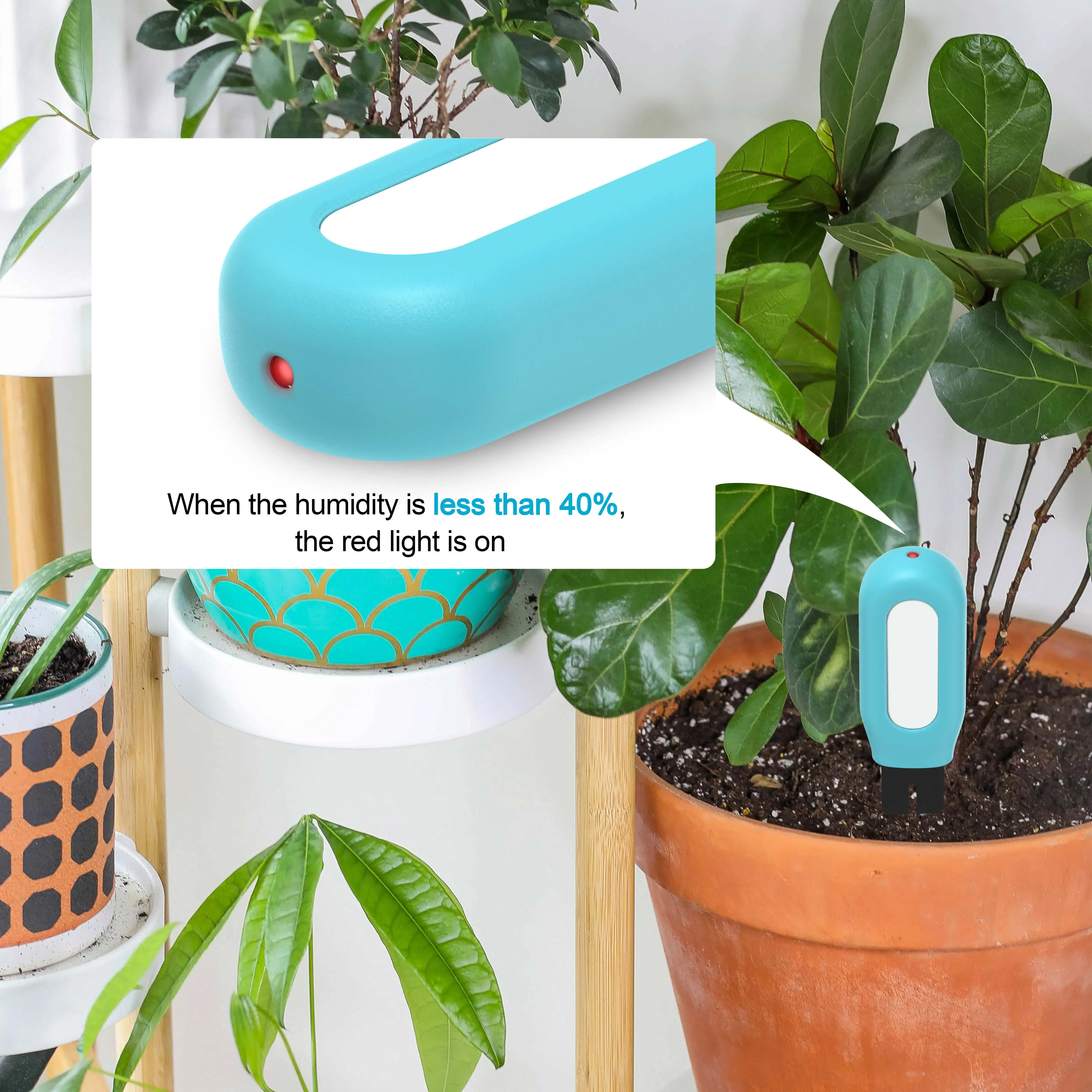 Intelligent earth monitoring Detector Garden flower pots humidity & temperature tester BLE smart soil moisture sensor