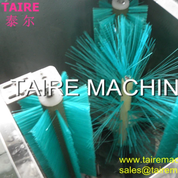 Taire 5 gallons drinking water bottle washing machine/ bottle cleaner bottle brushing machine brusher