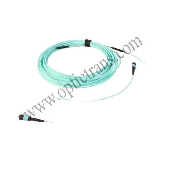 MPO Extended Trunk Cable