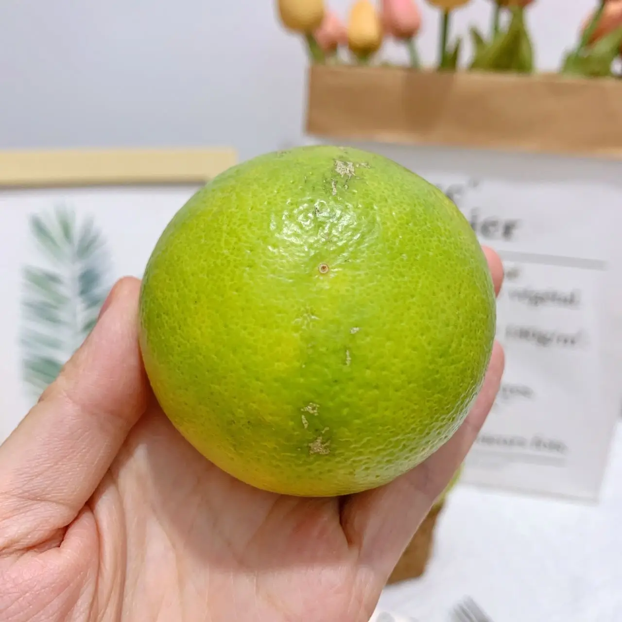 China Sweet Sand Sugar Oranges Mandarin Orange