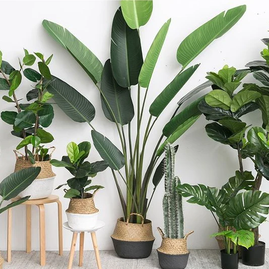 Shein Wholesale 6 Feet Artificial Bird of Paradise Plant Fake Tropical Palm Artificial Tree for Indoor Outdoor