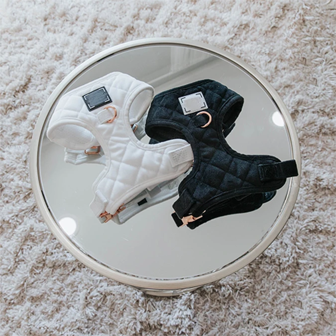 Custom Brand Logo Luxury Nylon Personalized Buckle Dog Leash Hardware Plastic Collar Escape Proof Dog Harness Set Dog Seat Belt