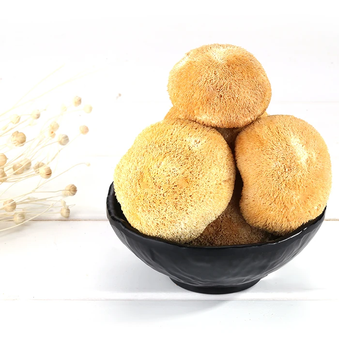 Натуральный высушенный Hericium грибы Hou Tou Gu