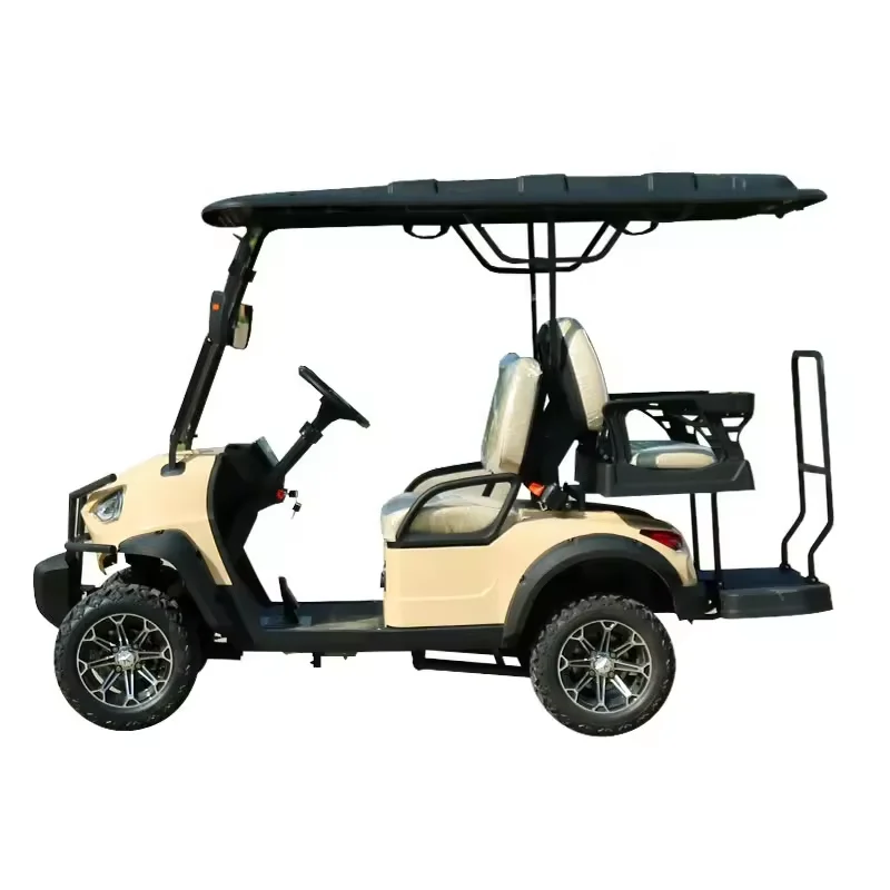 Tong Cai magnetic phone holder power golf cart with remote conversion kit push cart mini de gas electrico mini carrito de golf