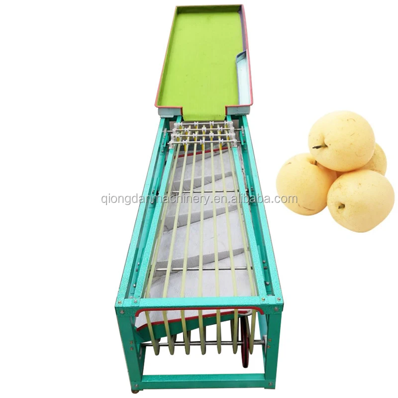 Vegetable/fruit sorting machine  apple orange Hawthorn Peach apricot Mango Avocado papaya grading machine