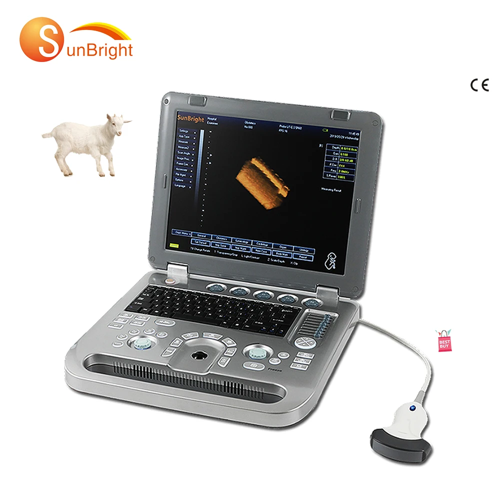 Portable Cow Veterinary Color Ultrasound Scanner Pig Pregnancy Test Sonar Sheep Veterinary B Ultrasound