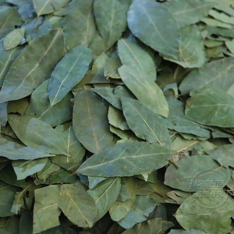 Top quality cook spice and Wholesale product   laurel leaves