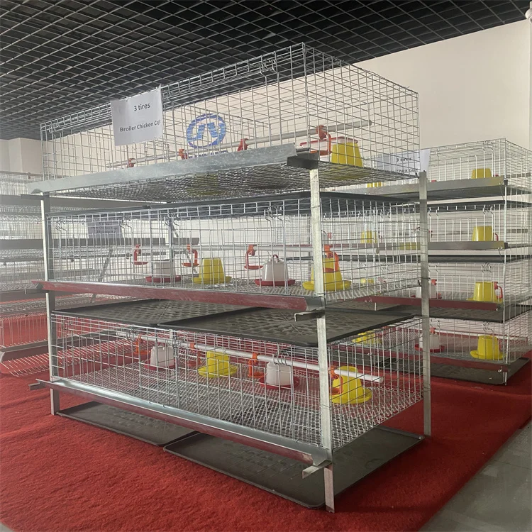 Pakistan Layer Chicken Cage Poultry Farm Automatic H Type Chicken Layer Cage