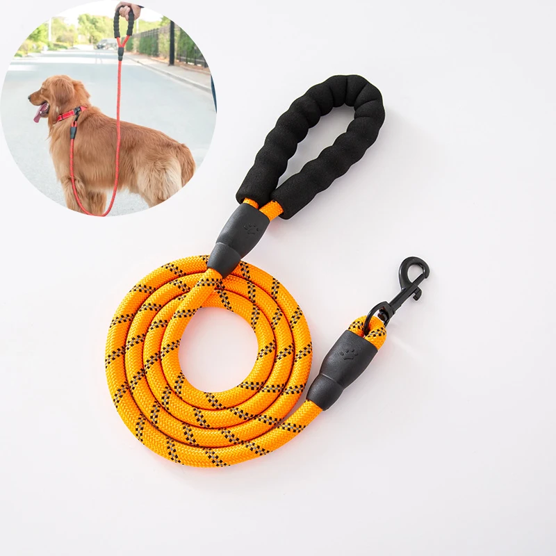 Wholesale Factory High Quality Rainbow Color Custom Logo blue Dog collar And Leash Set